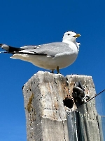 Buurtreis 2025 Texel_1
