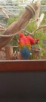 Damesreis 22-04- 2026 Pantropica