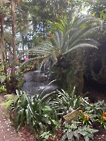 Damesreis 22-04-2026 Pantropica_7